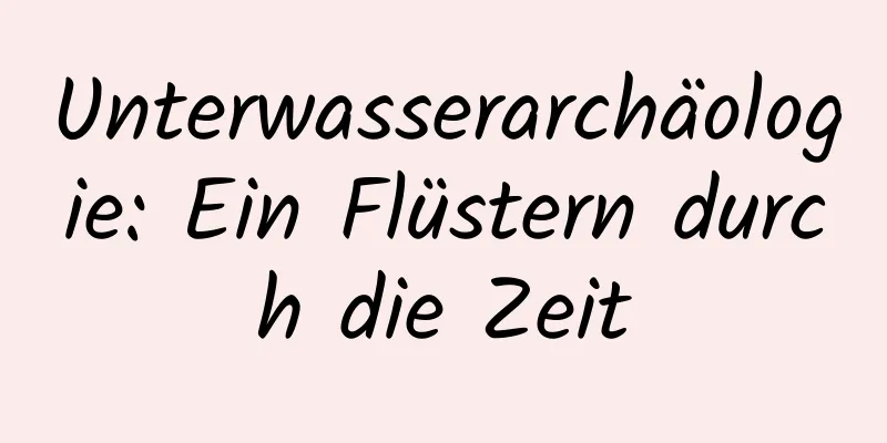 Unterwasserarchäologie: Ein Flüstern durch die Zeit