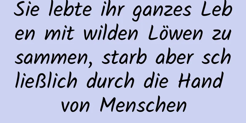 Sie lebte ihr ganzes Leben mit wilden Löwen zusammen, starb aber schließlich durch die Hand von Menschen