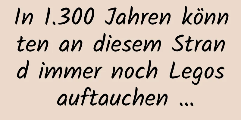 In 1.300 Jahren könnten an diesem Strand immer noch Legos auftauchen …