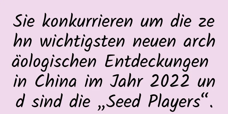Sie konkurrieren um die zehn wichtigsten neuen archäologischen Entdeckungen in China im Jahr 2022 und sind die „Seed Players“.