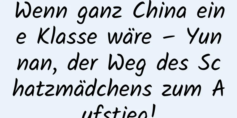 Wenn ganz China eine Klasse wäre – Yunnan, der Weg des Schatzmädchens zum Aufstieg!