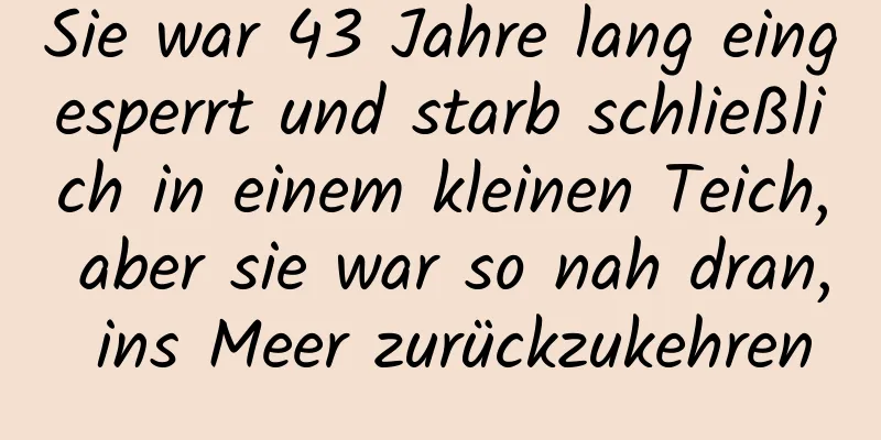 Sie war 43 Jahre lang eingesperrt und starb schließlich in einem kleinen Teich, aber sie war so nah dran, ins Meer zurückzukehren