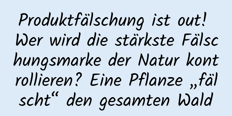 Produktfälschung ist out! Wer wird die stärkste Fälschungsmarke der Natur kontrollieren? Eine Pflanze „fälscht“ den gesamten Wald