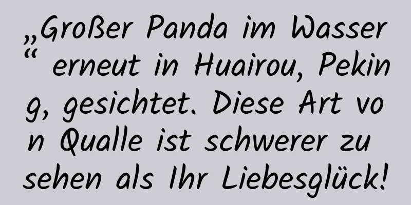 „Großer Panda im Wasser“ erneut in Huairou, Peking, gesichtet. Diese Art von Qualle ist schwerer zu sehen als Ihr Liebesglück!