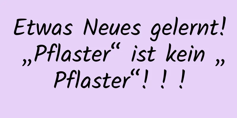 Etwas Neues gelernt! „Pflaster“ ist kein „Pflaster“! ! !