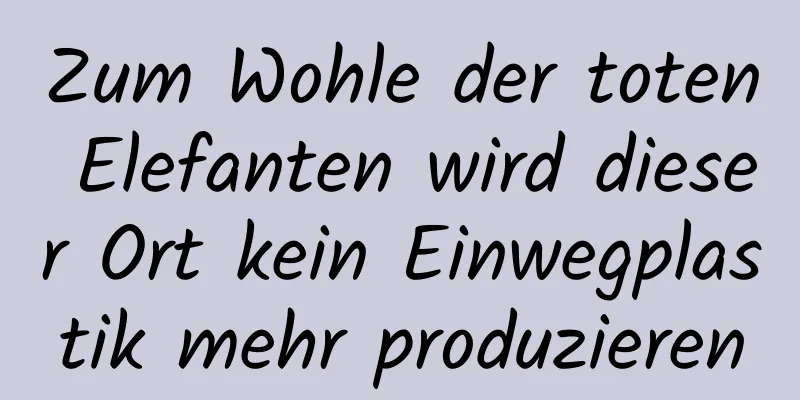 Zum Wohle der toten Elefanten wird dieser Ort kein Einwegplastik mehr produzieren