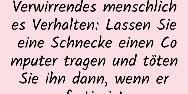 Verwirrendes menschliches Verhalten: Lassen Sie eine Schnecke einen Computer tragen und töten Sie ihn dann, wenn er fertig ist