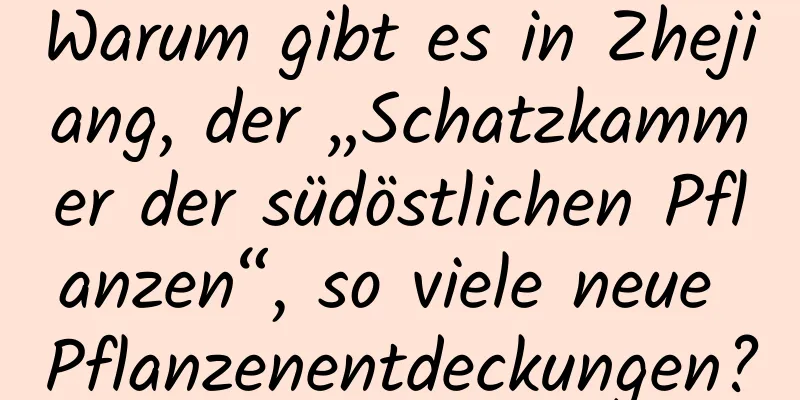 Warum gibt es in Zhejiang, der „Schatzkammer der südöstlichen Pflanzen“, so viele neue Pflanzenentdeckungen?