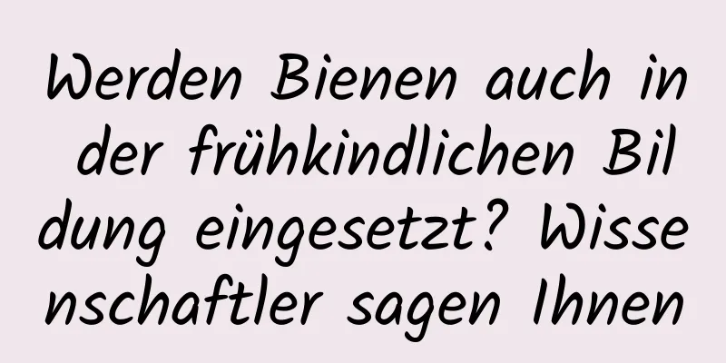 Werden Bienen auch in der frühkindlichen Bildung eingesetzt? Wissenschaftler sagen Ihnen