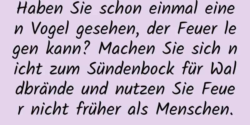 Haben Sie schon einmal einen Vogel gesehen, der Feuer legen kann? Machen Sie sich nicht zum Sündenbock für Waldbrände und nutzen Sie Feuer nicht früher als Menschen.