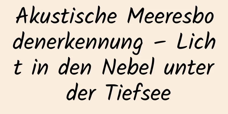 Akustische Meeresbodenerkennung – Licht in den Nebel unter der Tiefsee