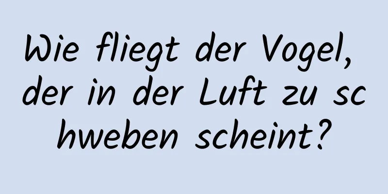 Wie fliegt der Vogel, der in der Luft zu schweben scheint?