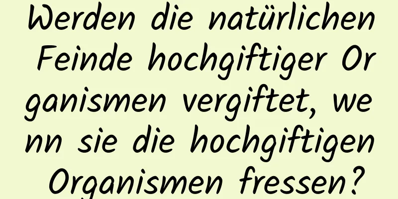 Werden die natürlichen Feinde hochgiftiger Organismen vergiftet, wenn sie die hochgiftigen Organismen fressen?