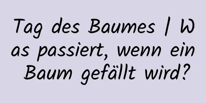 Tag des Baumes | Was passiert, wenn ein Baum gefällt wird?