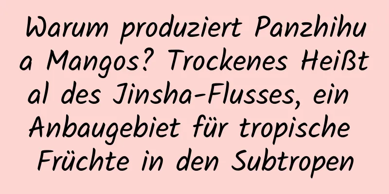 Warum produziert Panzhihua Mangos? Trockenes Heißtal des Jinsha-Flusses, ein Anbaugebiet für tropische Früchte in den Subtropen