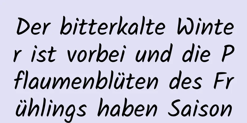 Der bitterkalte Winter ist vorbei und die Pflaumenblüten des Frühlings haben Saison