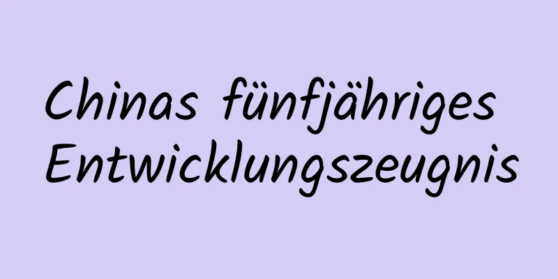 Chinas fünfjähriges Entwicklungszeugnis