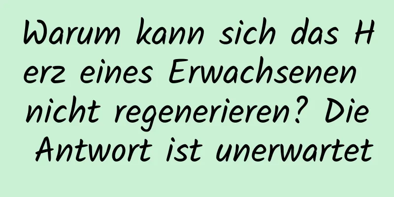 Warum kann sich das Herz eines Erwachsenen nicht regenerieren? Die Antwort ist unerwartet