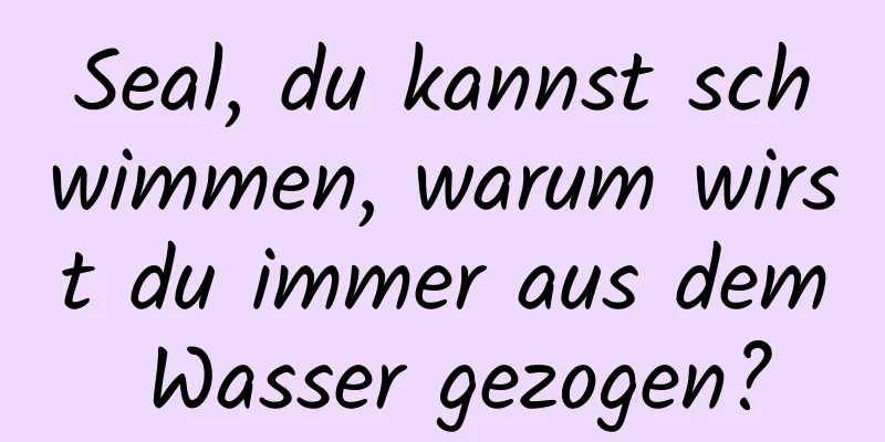 Seal, du kannst schwimmen, warum wirst du immer aus dem Wasser gezogen?