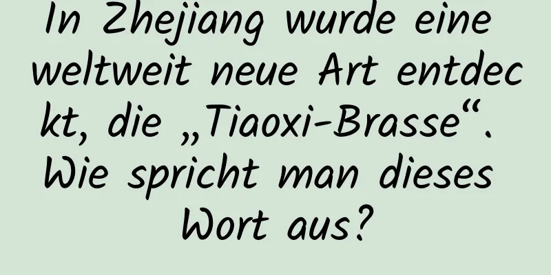 In Zhejiang wurde eine weltweit neue Art entdeckt, die „Tiaoxi-Brasse“. Wie spricht man dieses Wort aus?