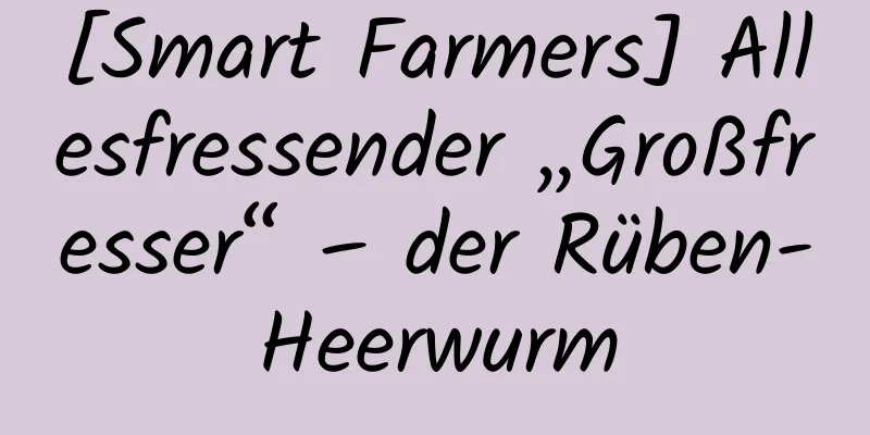 [Smart Farmers] Allesfressender „Großfresser“ – der Rüben-Heerwurm