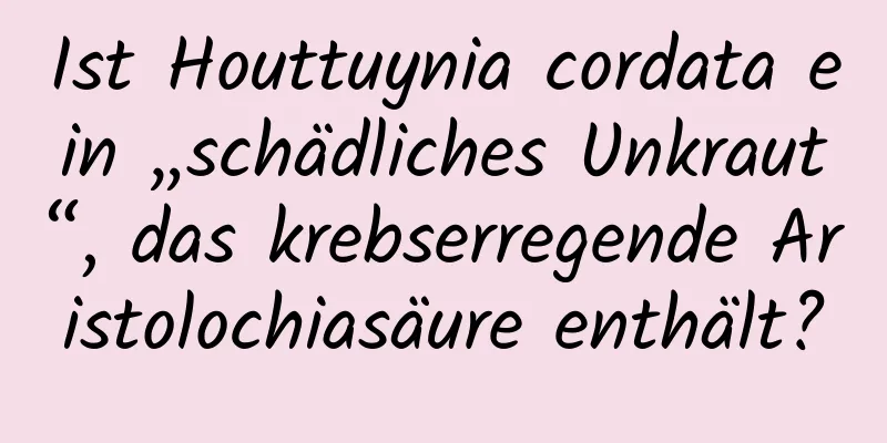 Ist Houttuynia cordata ein „schädliches Unkraut“, das krebserregende Aristolochiasäure enthält?