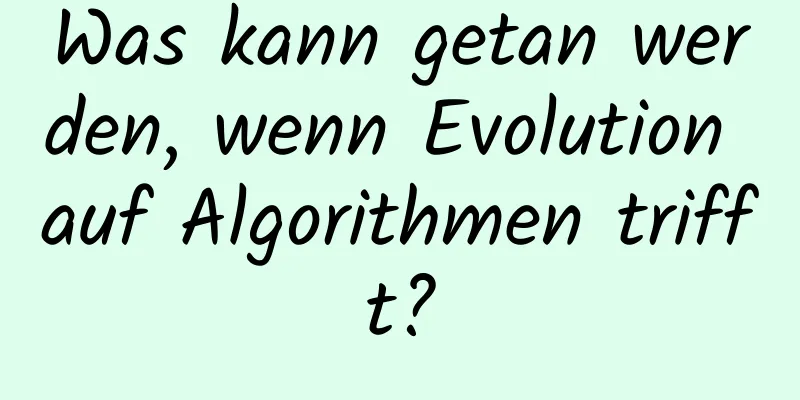 Was kann getan werden, wenn Evolution auf Algorithmen trifft?