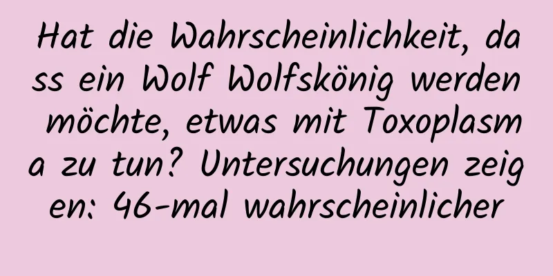 Hat die Wahrscheinlichkeit, dass ein Wolf Wolfskönig werden möchte, etwas mit Toxoplasma zu tun? Untersuchungen zeigen: 46-mal wahrscheinlicher