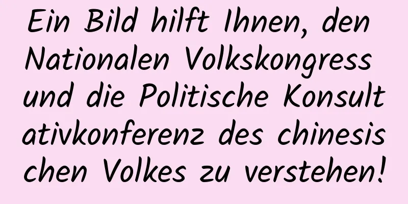 Ein Bild hilft Ihnen, den Nationalen Volkskongress und die Politische Konsultativkonferenz des chinesischen Volkes zu verstehen!