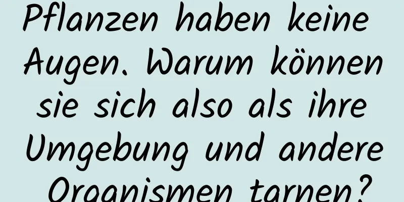 Pflanzen haben keine Augen. Warum können sie sich also als ihre Umgebung und andere Organismen tarnen?