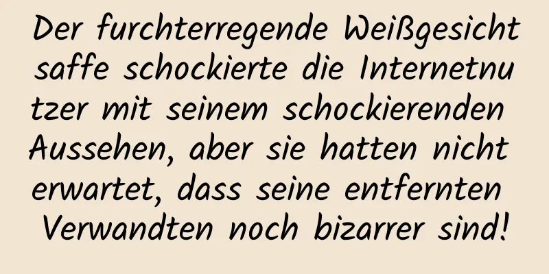 Der furchterregende Weißgesichtsaffe schockierte die Internetnutzer mit seinem schockierenden Aussehen, aber sie hatten nicht erwartet, dass seine entfernten Verwandten noch bizarrer sind!