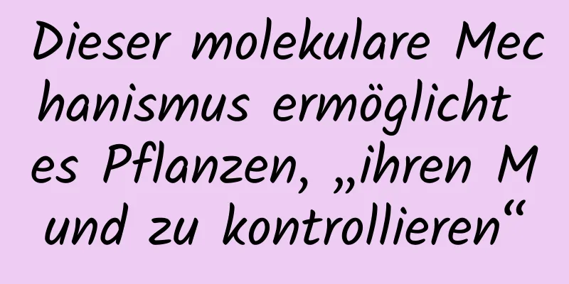 Dieser molekulare Mechanismus ermöglicht es Pflanzen, „ihren Mund zu kontrollieren“