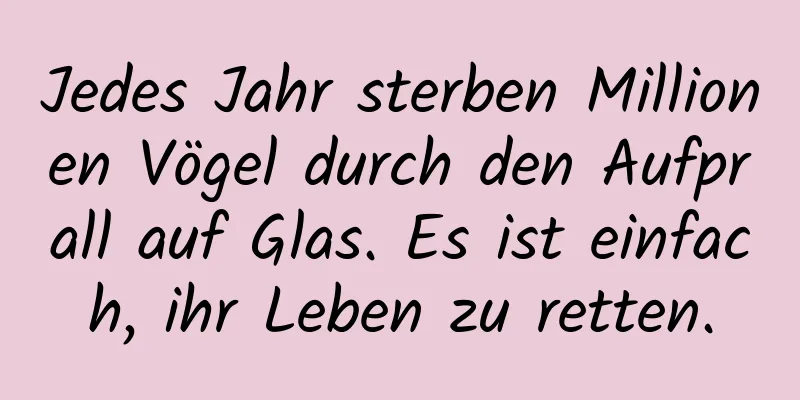 Jedes Jahr sterben Millionen Vögel durch den Aufprall auf Glas. Es ist einfach, ihr Leben zu retten.
