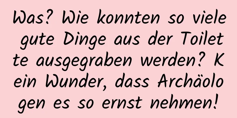 Was? Wie konnten so viele gute Dinge aus der Toilette ausgegraben werden? Kein Wunder, dass Archäologen es so ernst nehmen!