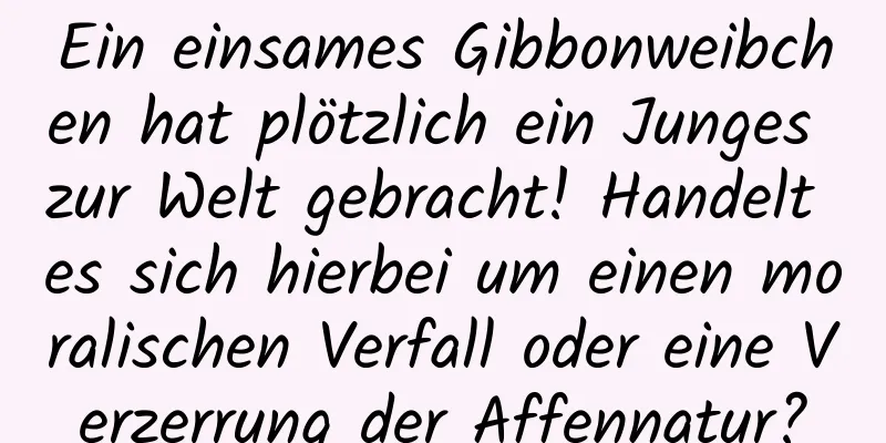 Ein einsames Gibbonweibchen hat plötzlich ein Junges zur Welt gebracht! Handelt es sich hierbei um einen moralischen Verfall oder eine Verzerrung der Affennatur?
