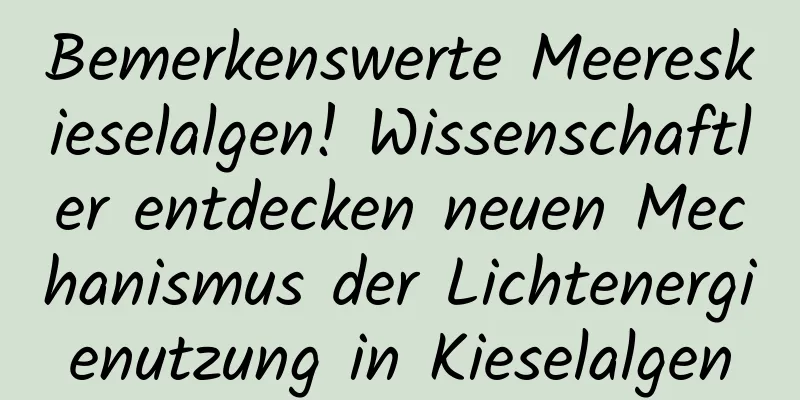Bemerkenswerte Meereskieselalgen! Wissenschaftler entdecken neuen Mechanismus der Lichtenergienutzung in Kieselalgen
