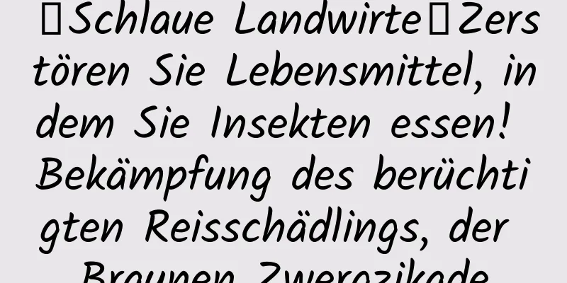 【Schlaue Landwirte】Zerstören Sie Lebensmittel, indem Sie Insekten essen! Bekämpfung des berüchtigten Reisschädlings, der Braunen Zwergzikade