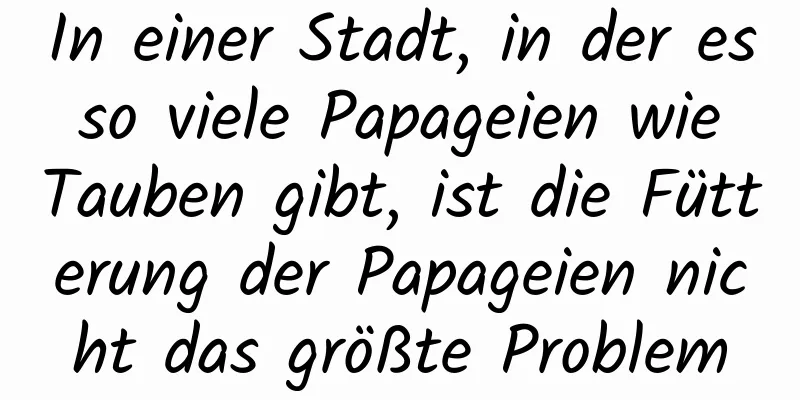In einer Stadt, in der es so viele Papageien wie Tauben gibt, ist die Fütterung der Papageien nicht das größte Problem