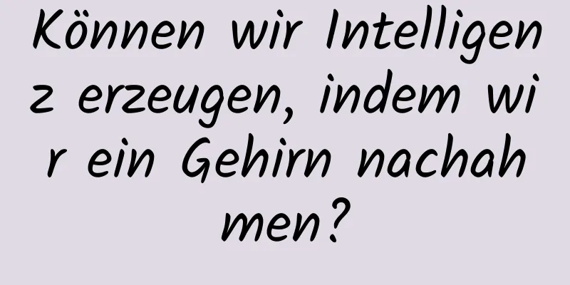 Können wir Intelligenz erzeugen, indem wir ein Gehirn nachahmen?