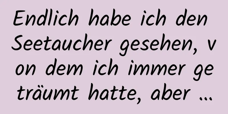Endlich habe ich den Seetaucher gesehen, von dem ich immer geträumt hatte, aber …