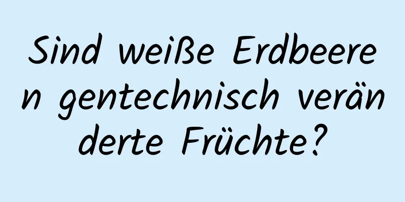 Sind weiße Erdbeeren gentechnisch veränderte Früchte?