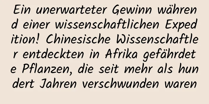 Ein unerwarteter Gewinn während einer wissenschaftlichen Expedition! Chinesische Wissenschaftler entdeckten in Afrika gefährdete Pflanzen, die seit mehr als hundert Jahren verschwunden waren