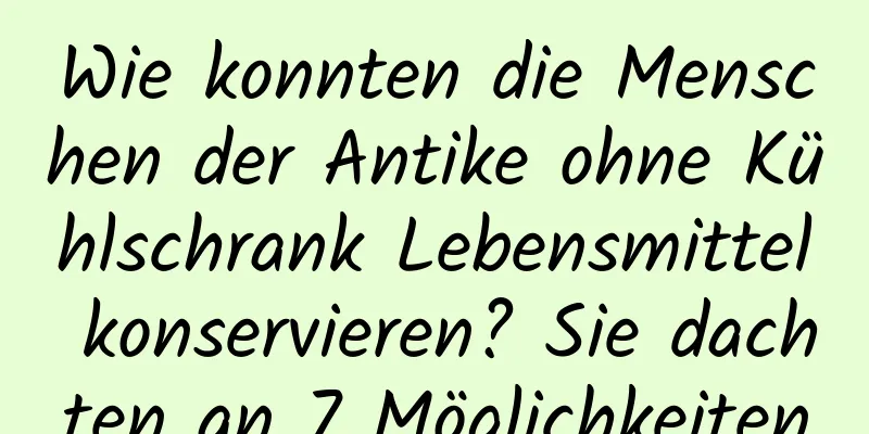 Wie konnten die Menschen der Antike ohne Kühlschrank Lebensmittel konservieren? Sie dachten an 7 Möglichkeiten