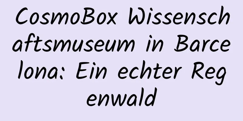 CosmoBox Wissenschaftsmuseum in Barcelona: Ein echter Regenwald