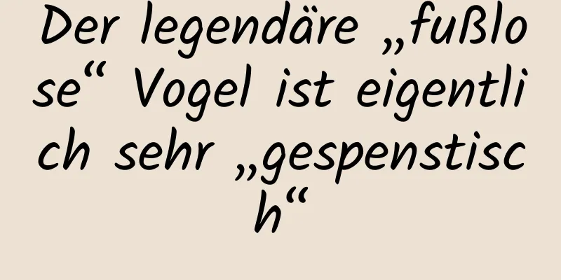 Der legendäre „fußlose“ Vogel ist eigentlich sehr „gespenstisch“
