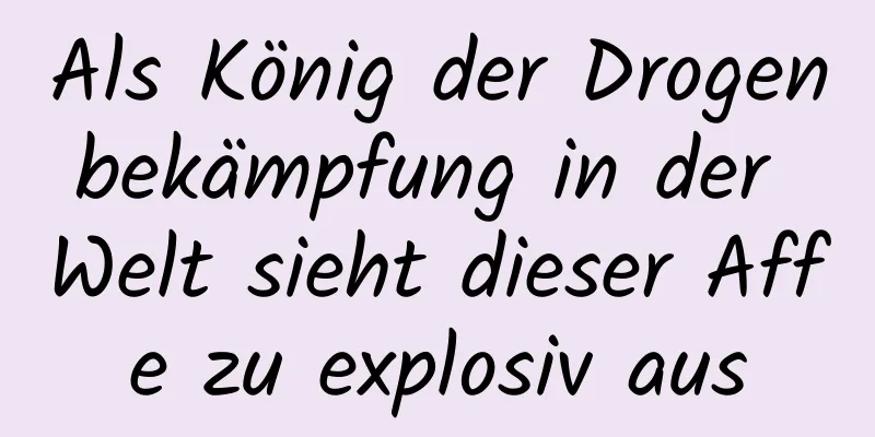 Als König der Drogenbekämpfung in der Welt sieht dieser Affe zu explosiv aus
