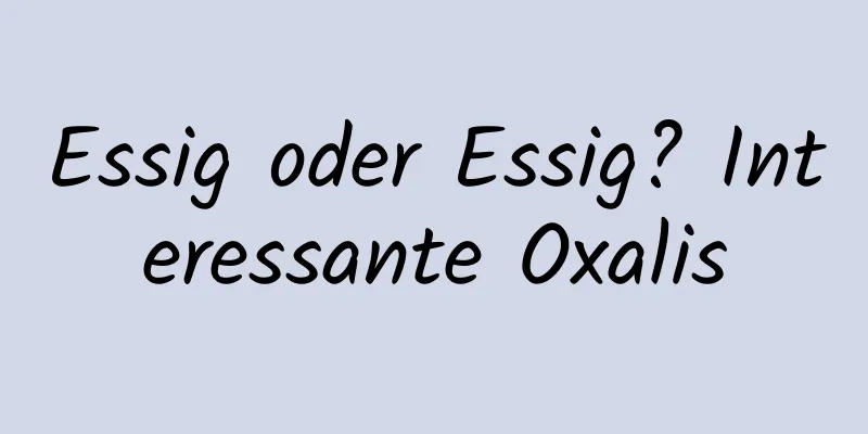 Essig oder Essig? Interessante Oxalis