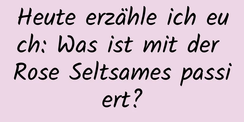 Heute erzähle ich euch: Was ist mit der Rose Seltsames passiert?