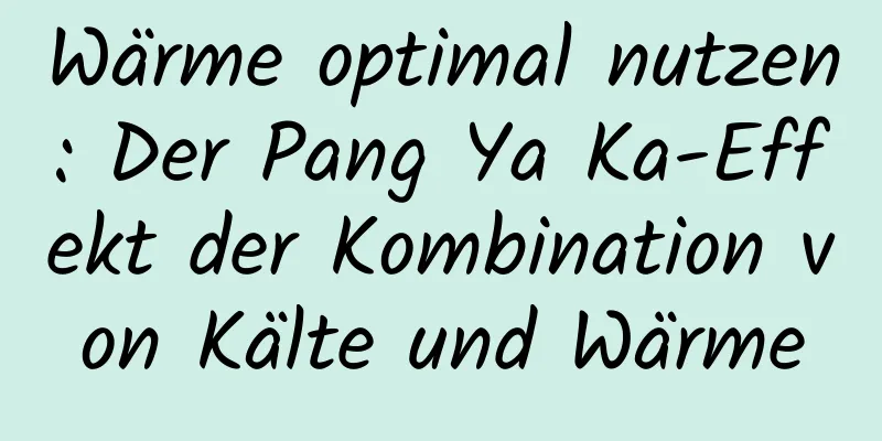 Wärme optimal nutzen: Der Pang Ya Ka-Effekt der Kombination von Kälte und Wärme