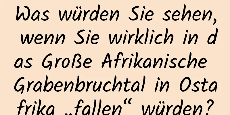 Was würden Sie sehen, wenn Sie wirklich in das Große Afrikanische Grabenbruchtal in Ostafrika „fallen“ würden?